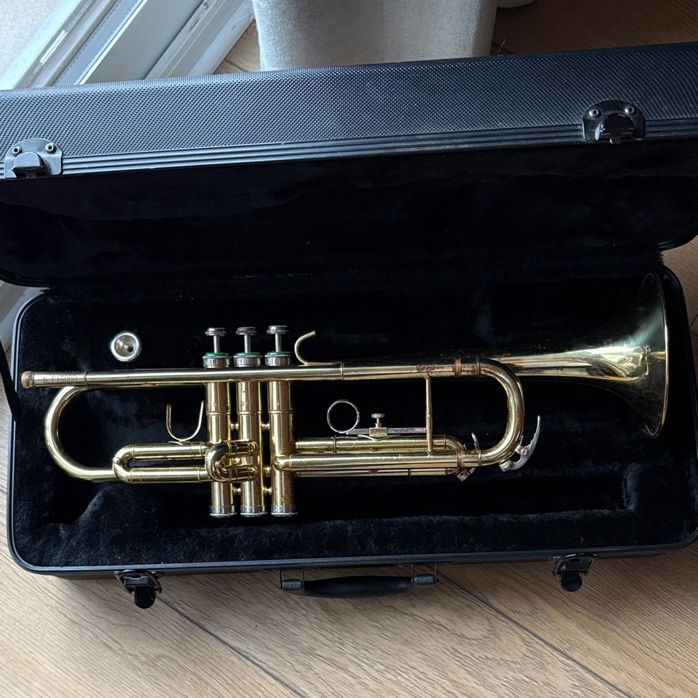 Stagg trumpet and case